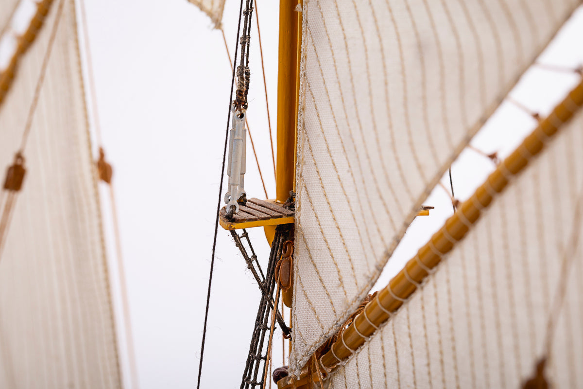 1:100 Esmeralda Special Edition -Wooden hull