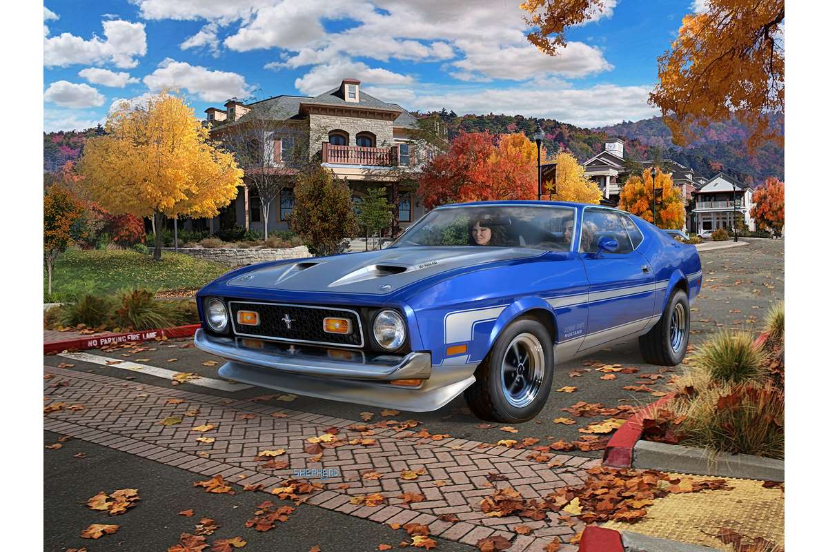 Model Set 71 Ford Mustang Boss 351 1:25