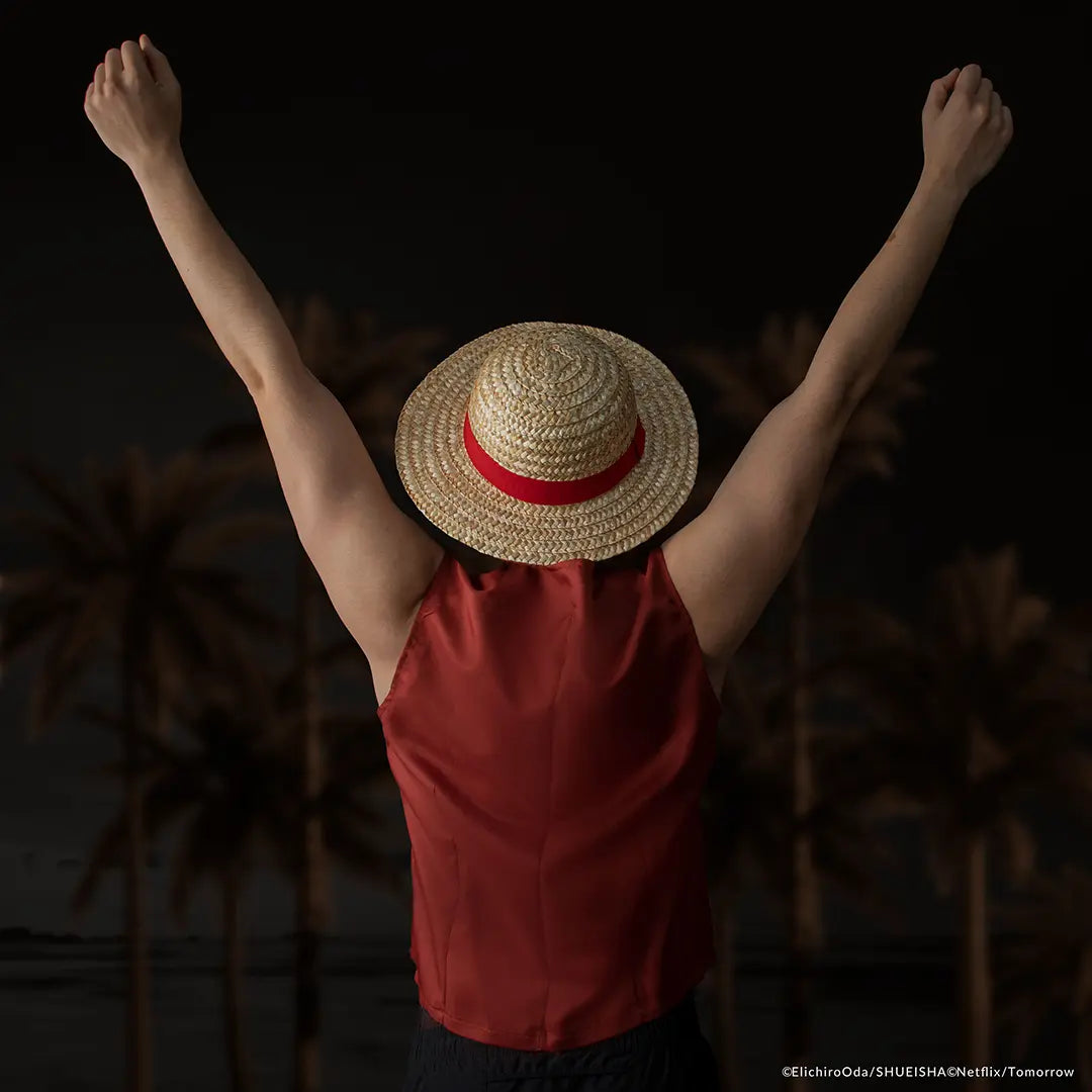 Straw hat - One Piece