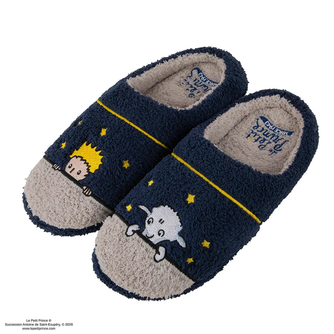 Slippers - Starry Night - The Little Prince