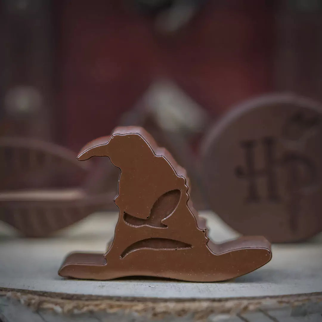 Chocolate and Ice Cube Mold – Harry Potter