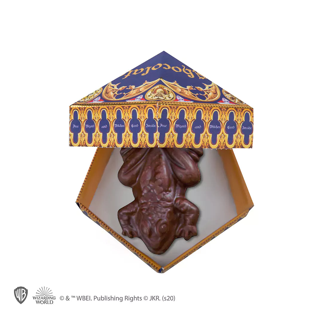 Chocolate Frog Mold + 6 papers box + 12 Wizard Cards - Harry Potter