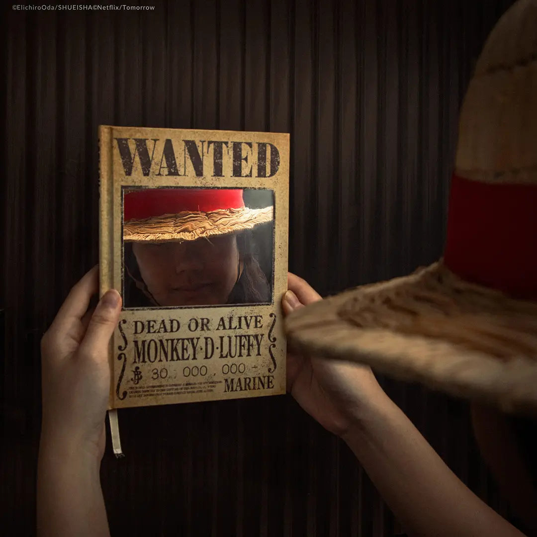Hard cover notebook mirror Wanted - One Piece