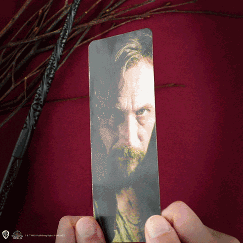 Sirius Black wand pen and display - Harry Potter