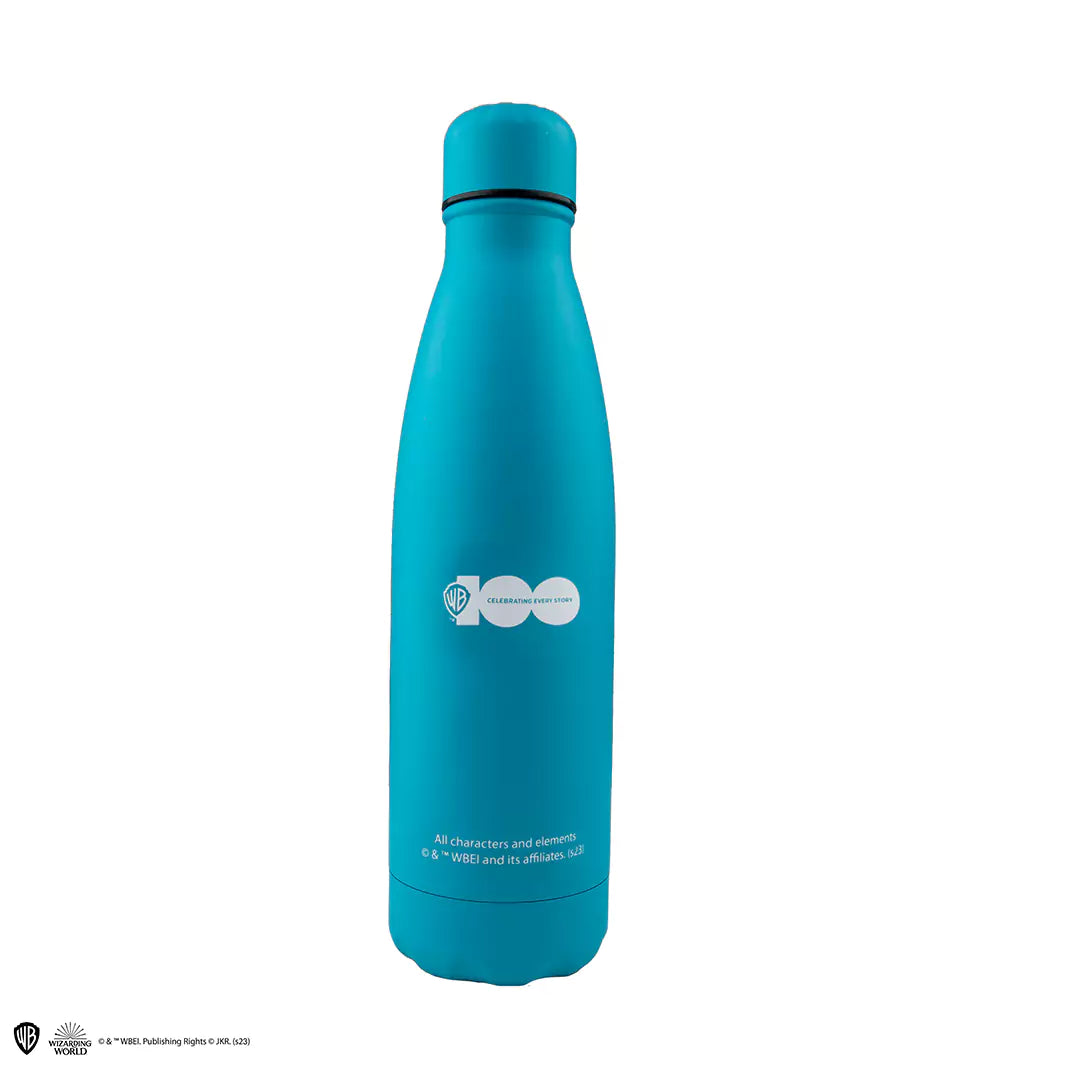 Insulated water bottle Looney Tunes at Hogwarts - WB 100th
