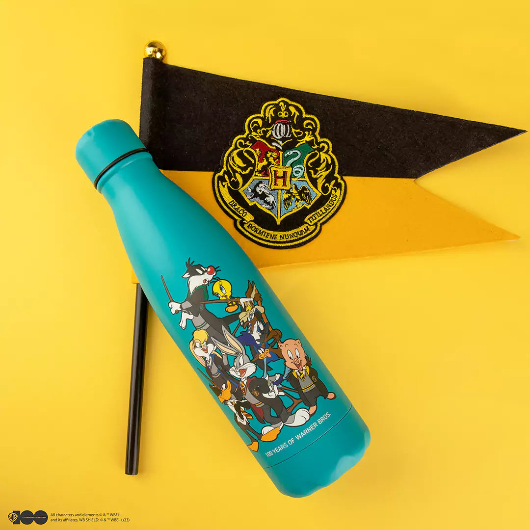 Insulated water bottle Looney Tunes at Hogwarts - WB 100th