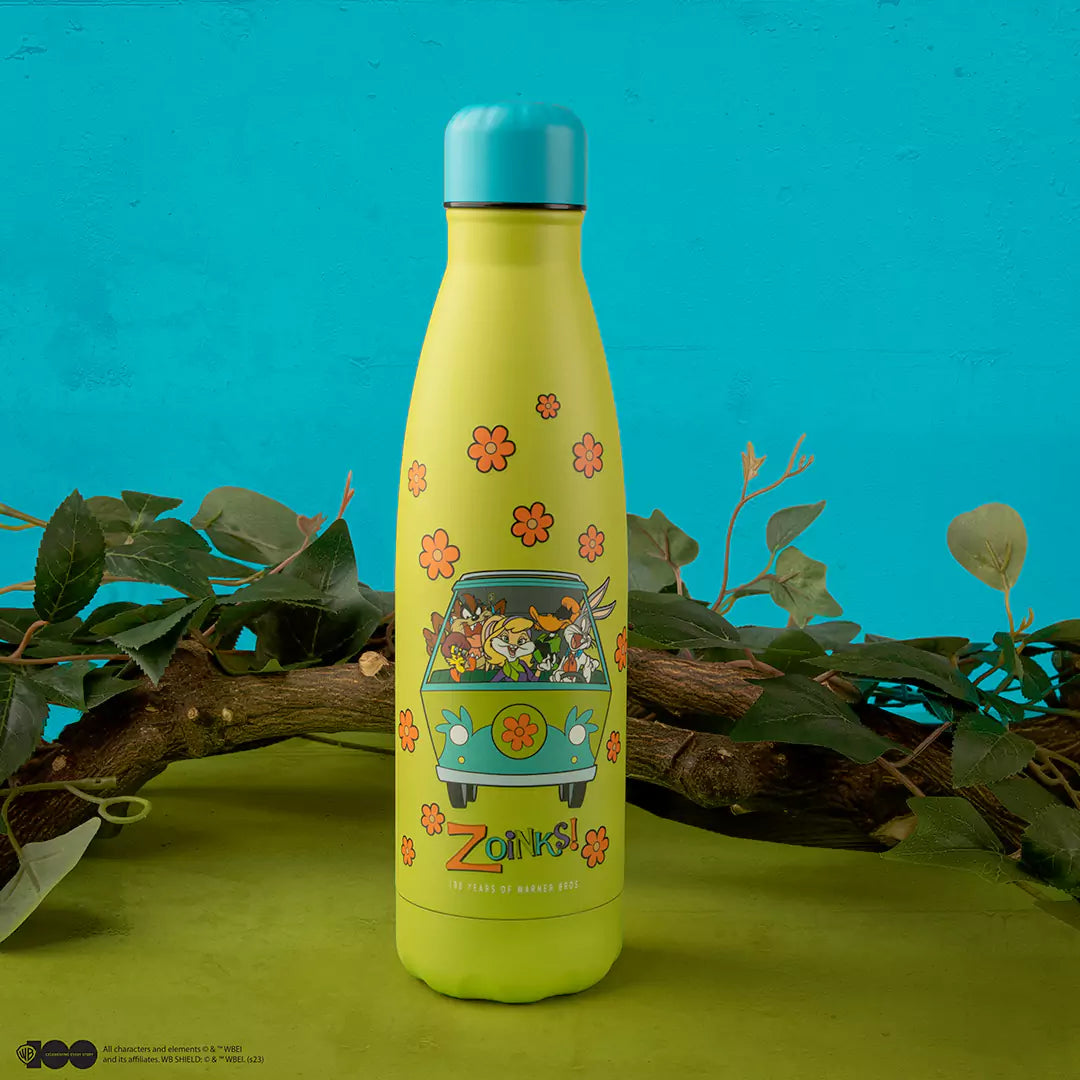 Insulated water bottle Scooby Doo and Looney Tunes - WB 100th