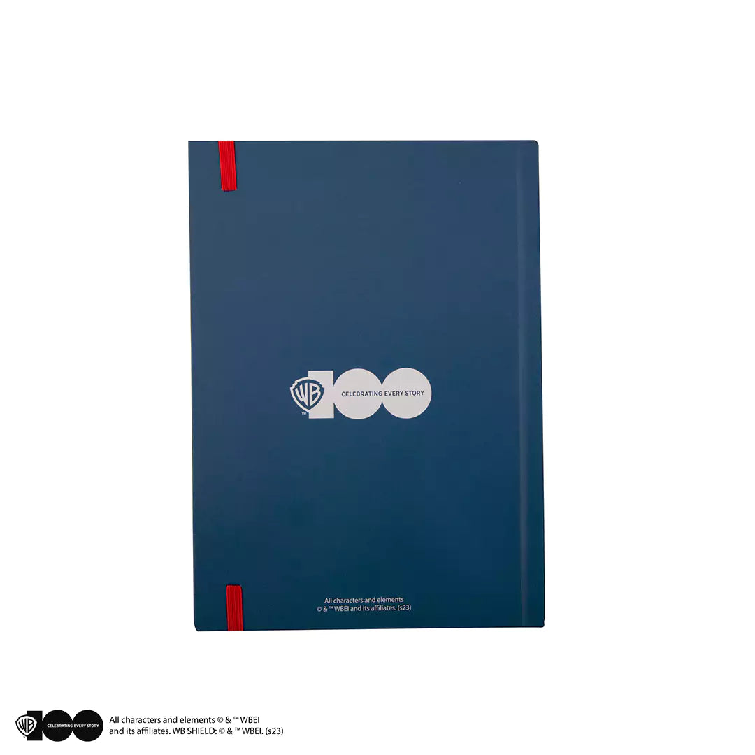 Notebook Tom and Jerry - WB 100th