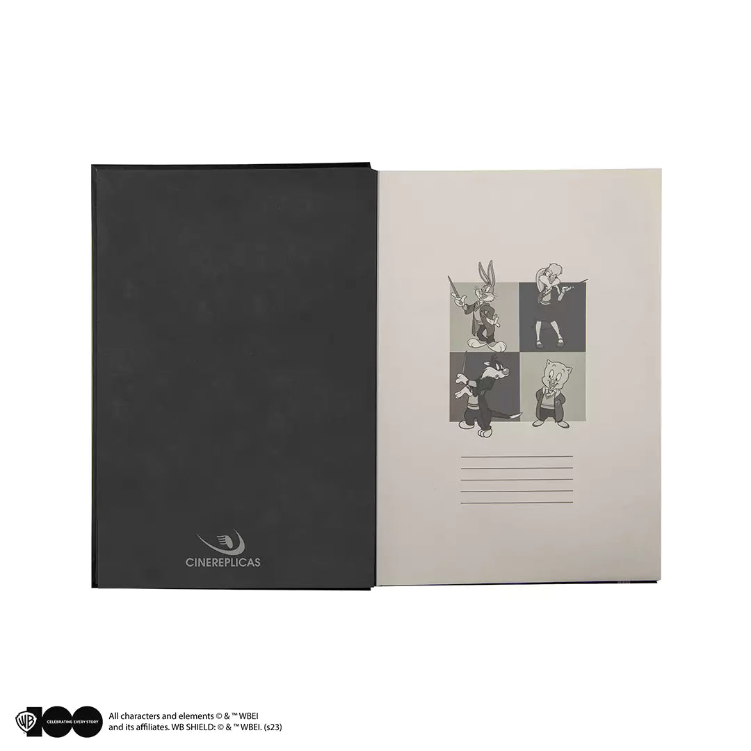 Notebook and pen Looney Tunes at Hogwarts - WB 100th