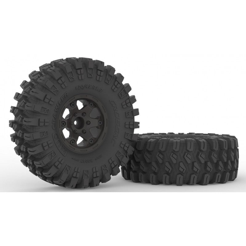 Crawling kit - NT4 1/10 RTR Kit (grey)
