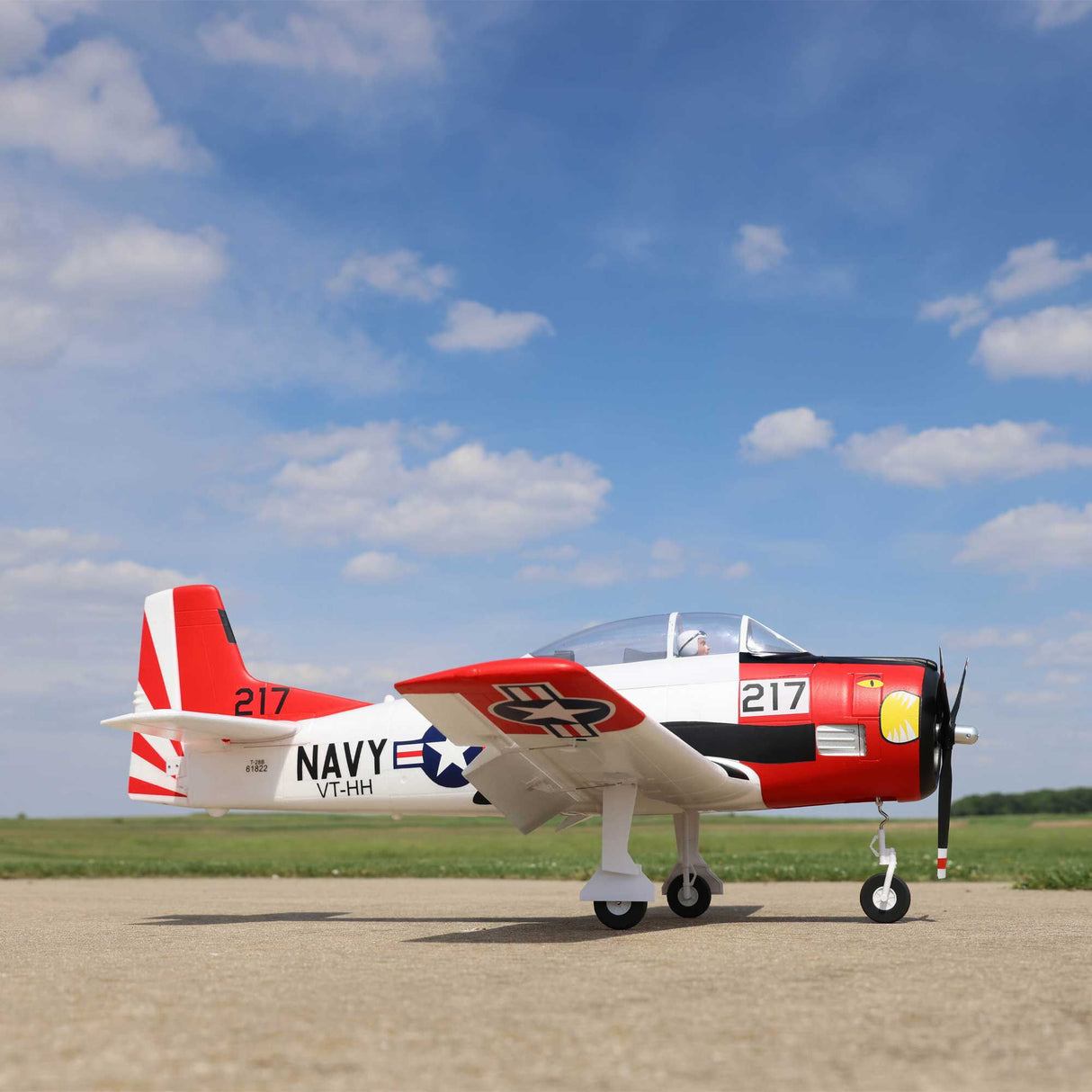 T-28 Trojan 1.2m with Smart PNP-