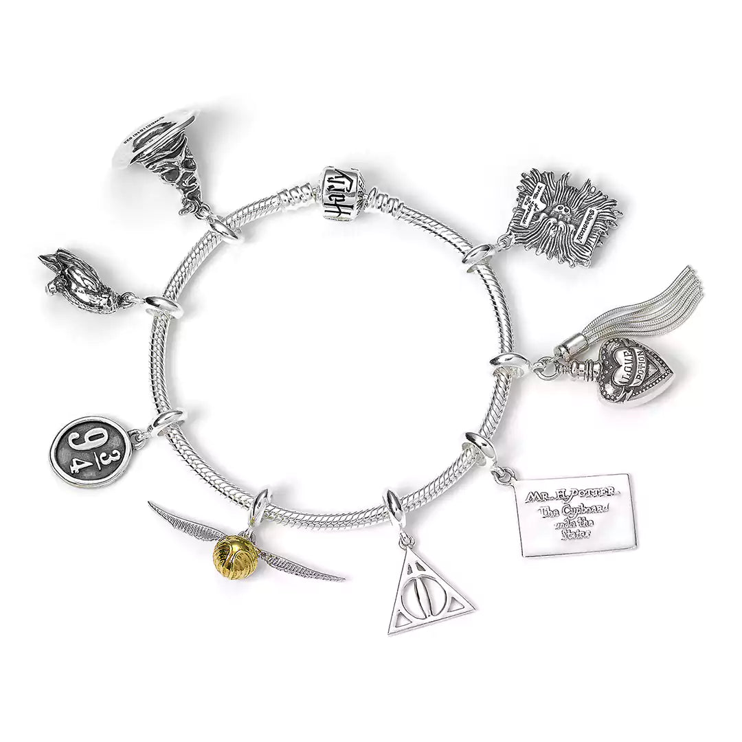 Sterling Sliver Charm Bracelet - Harry Potter