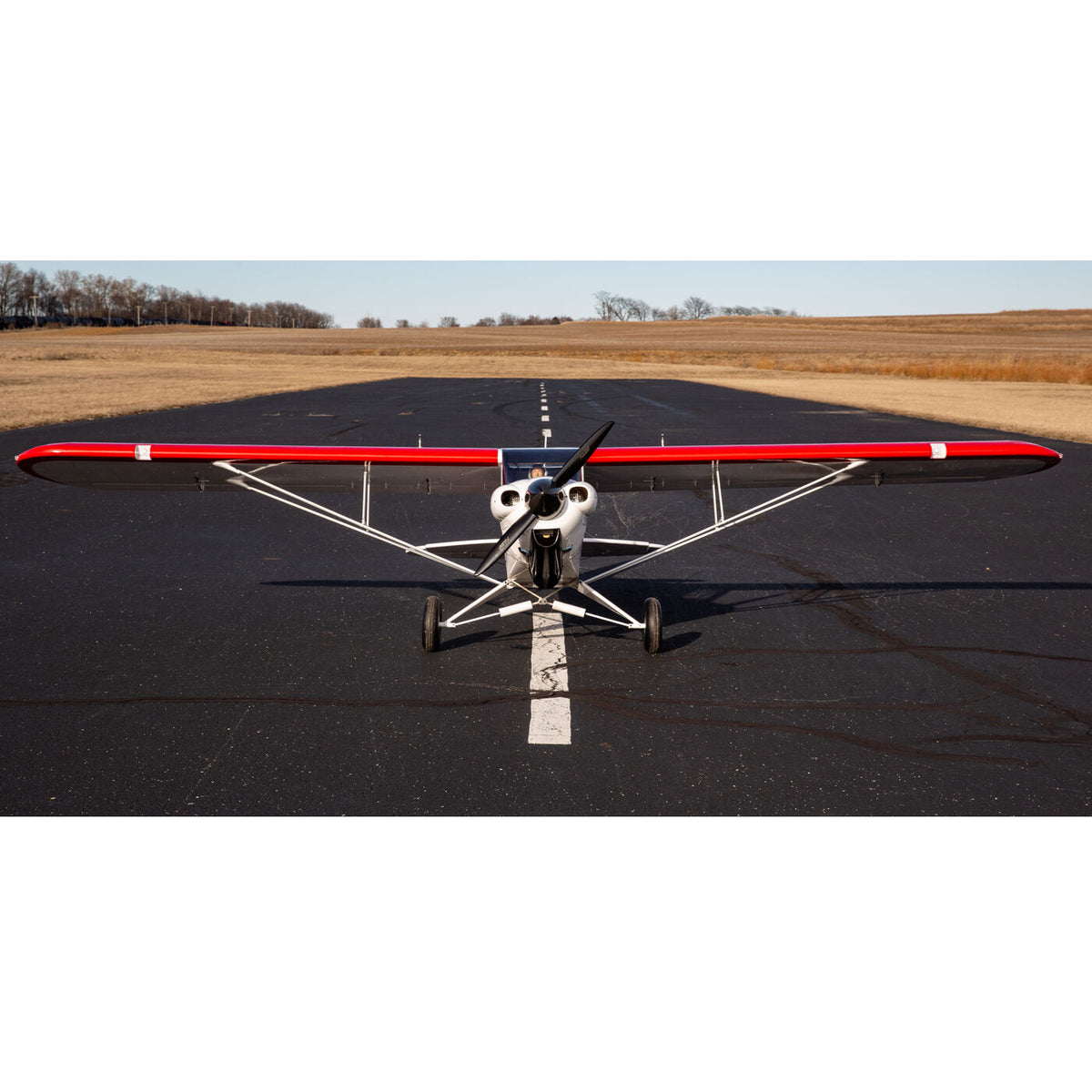 Carbon Cub FX-3 100-200cc ARF