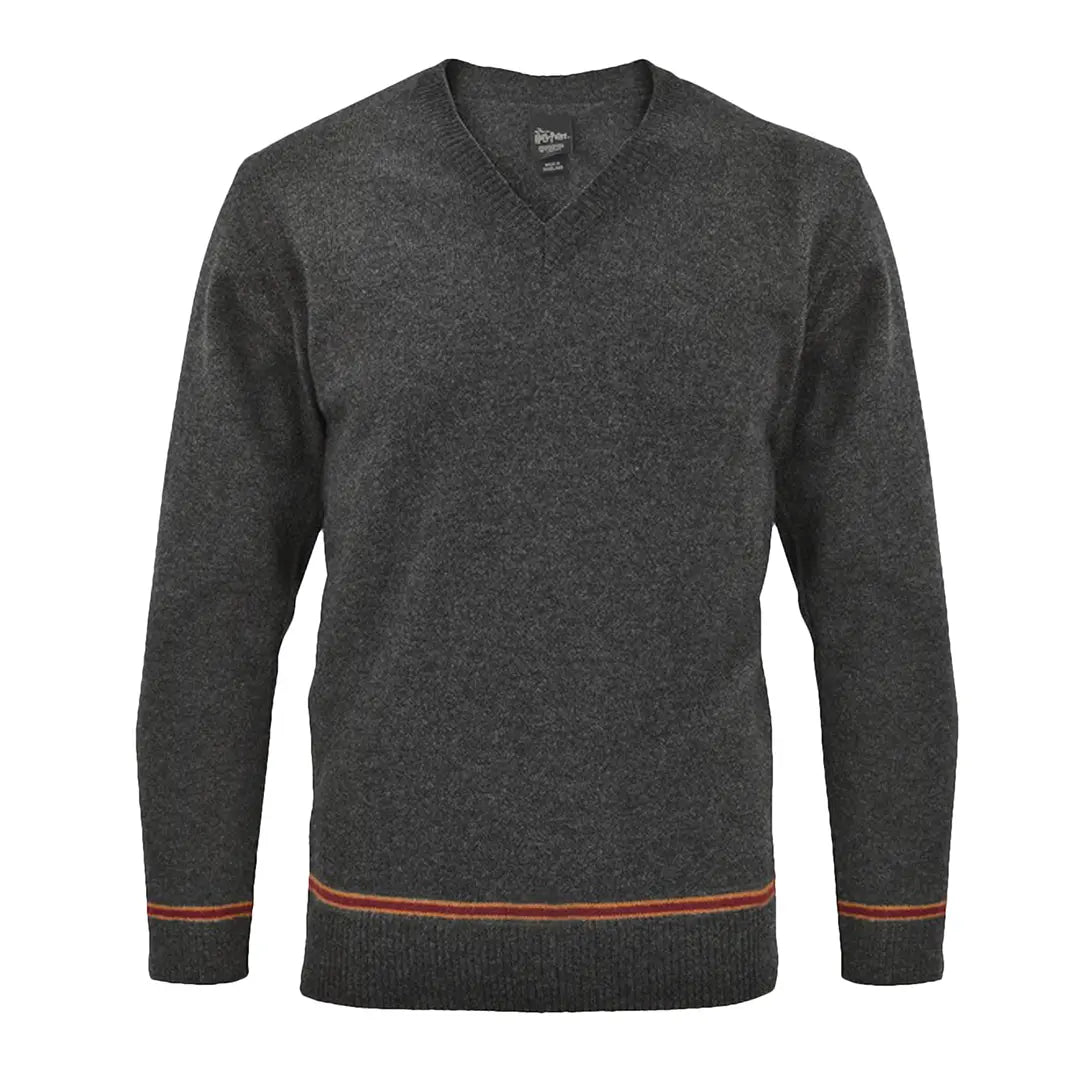 Gryffindor V-Neck Sweater - Harry Potter