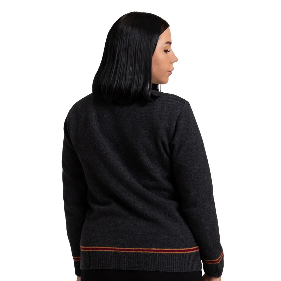 Gryffindor V-Neck Sweater - Harry Potter