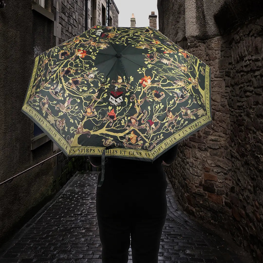 Umbrella - Family Black - Harry Potter