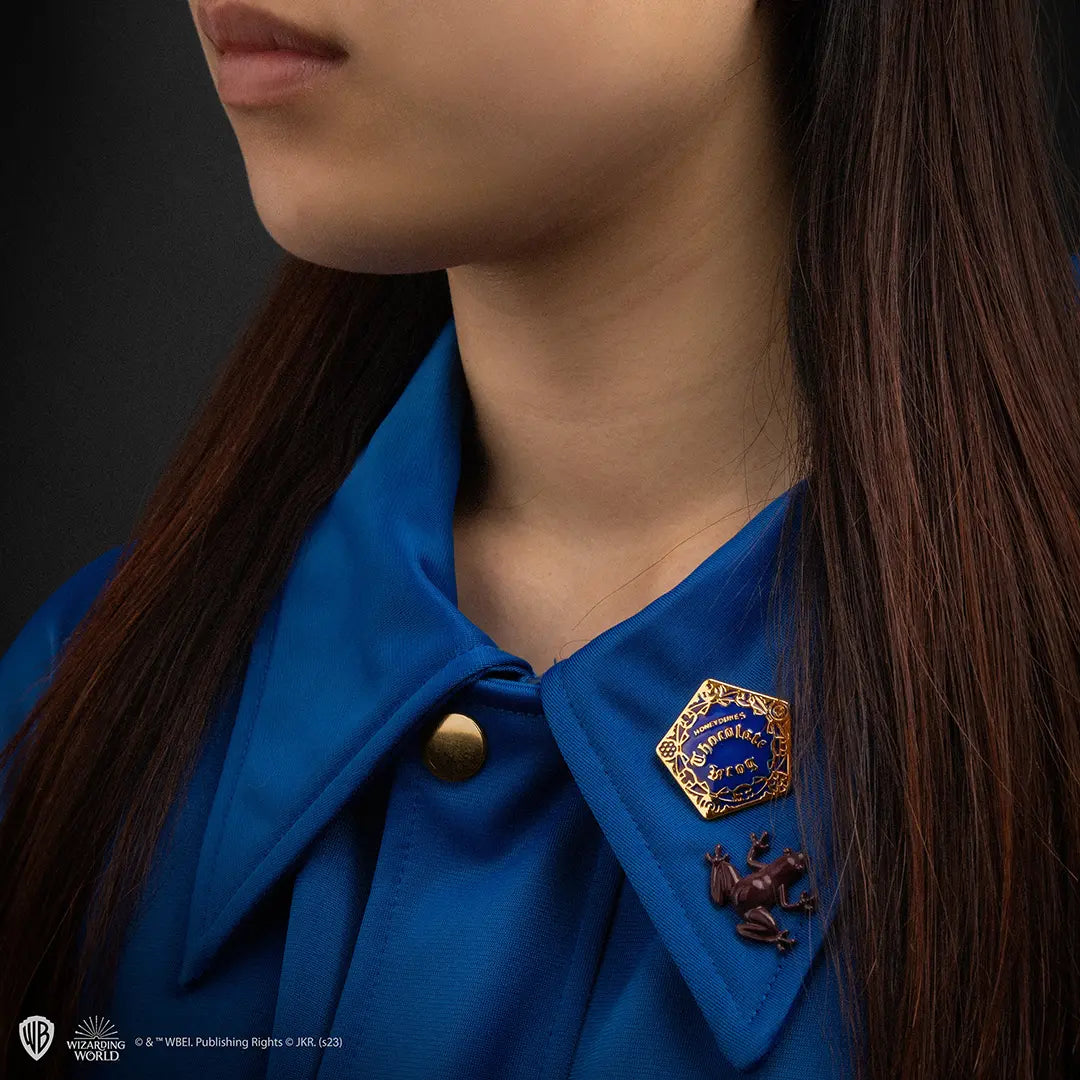 Pin badge Chocolate frog - Harry Potter