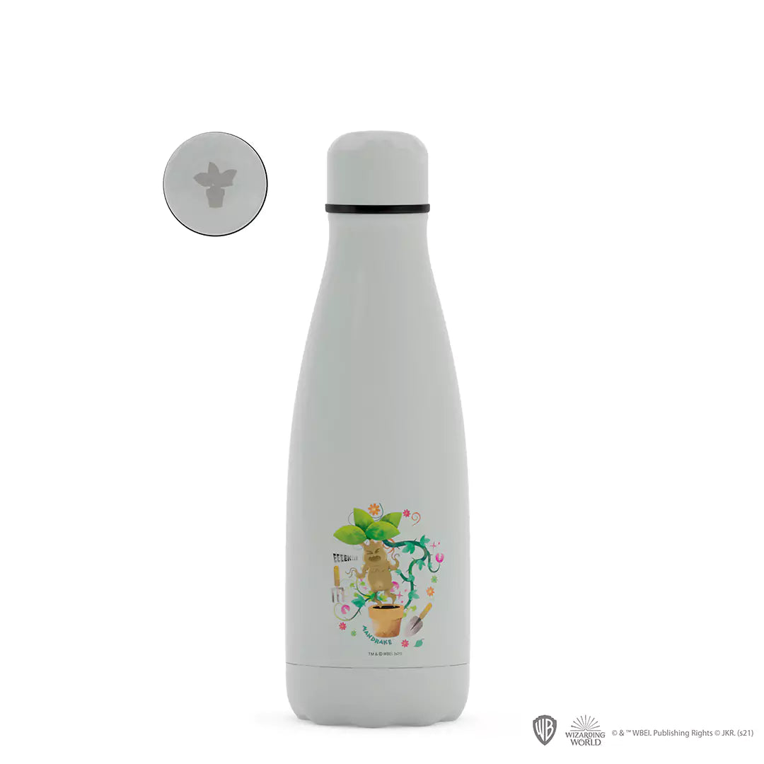 Bottle 500ml - Hermione and Mandrake - Harry Potter
