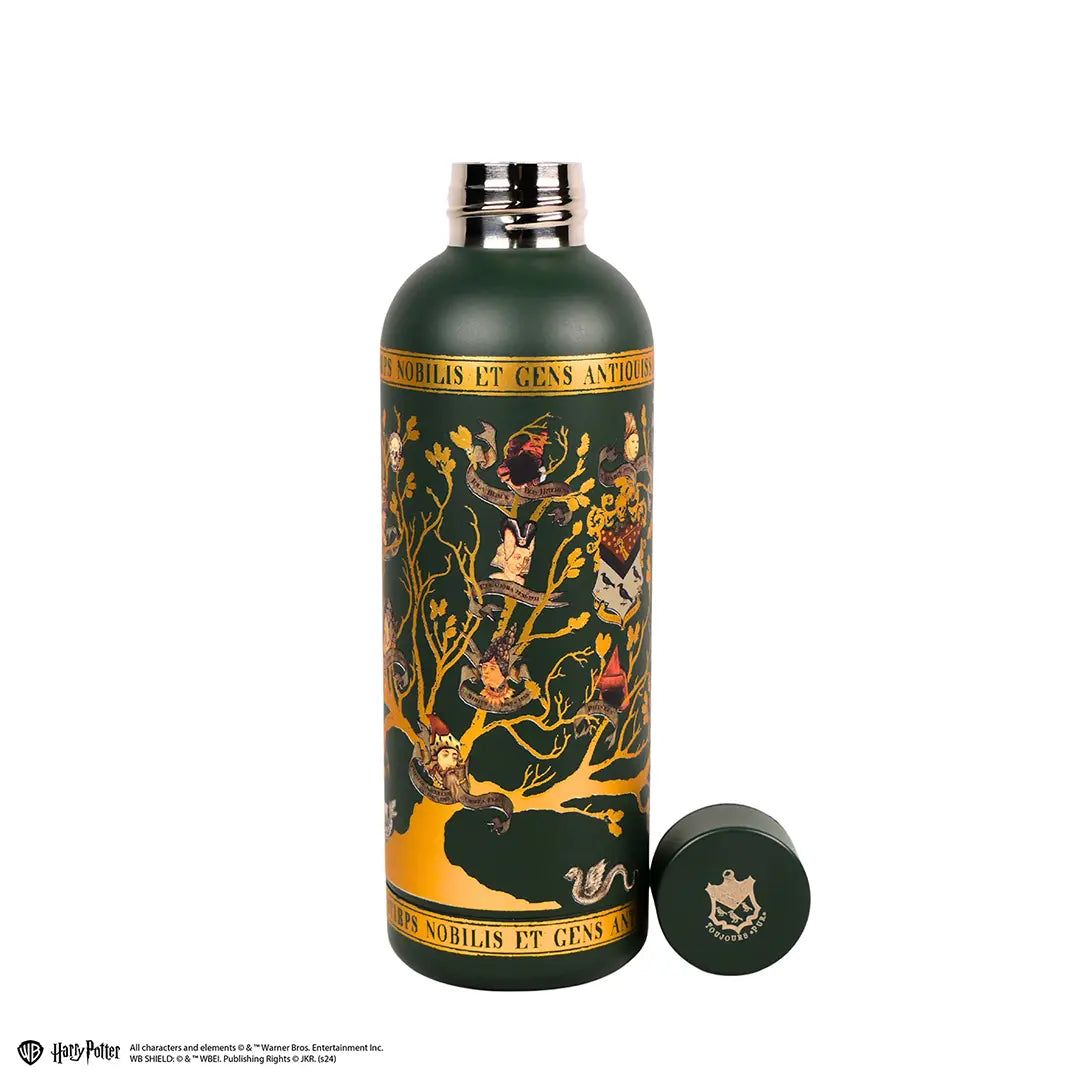 Insulated bottle 500ml - Black Family - Harry Potter