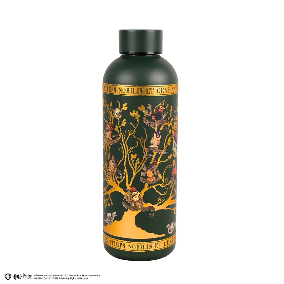 Insulated bottle 500ml - Black Family - Harry Potter