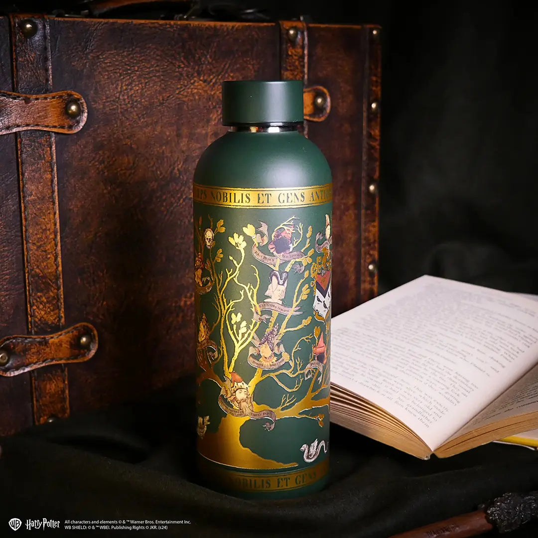 Insulated bottle 500ml - Black Family - Harry Potter