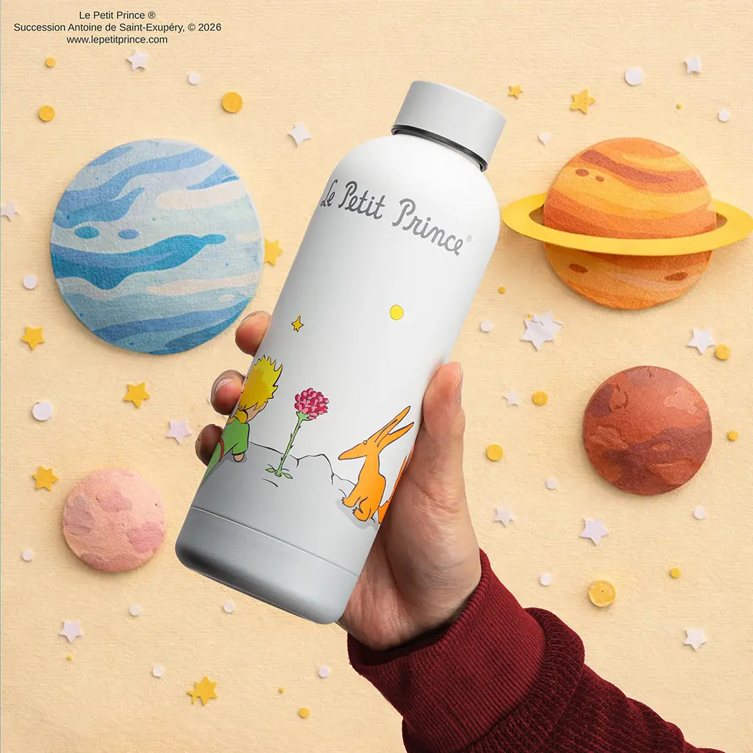 Insulated bottle 500ml - One day a rose - The Little Prince