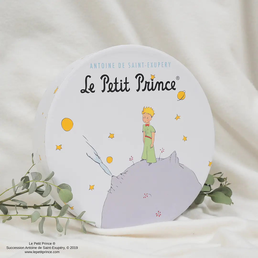 Set of 4 Plates Stargazing - The Little Prince
