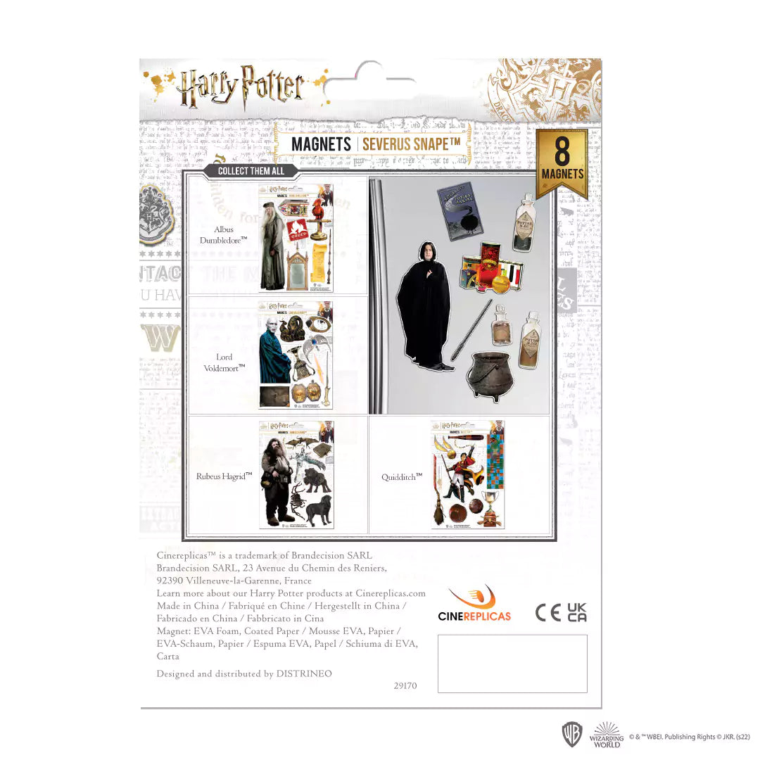 Foam magnet board - Severus Snape - Harry Potter