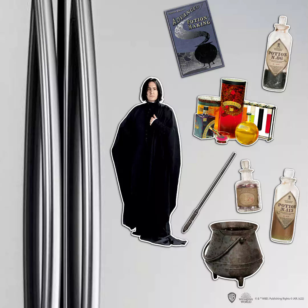 Foam magnet board - Severus Snape - Harry Potter