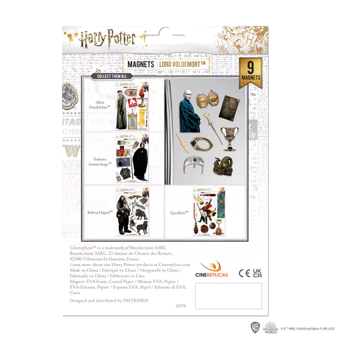 Foam magnet board - Voldemort - Harry Potter