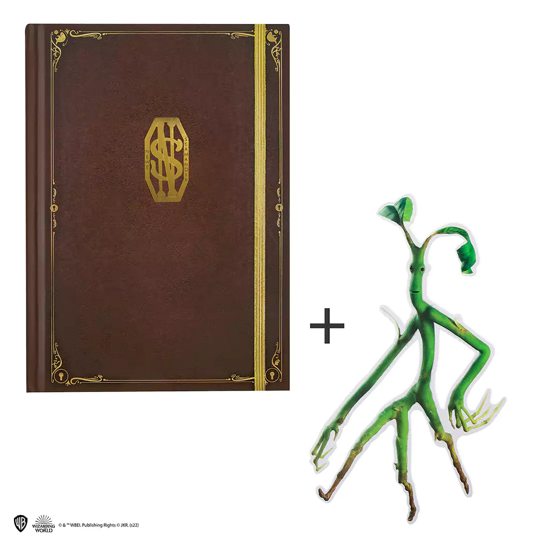 Hard cover notebook and bookmark - Newt Scamander