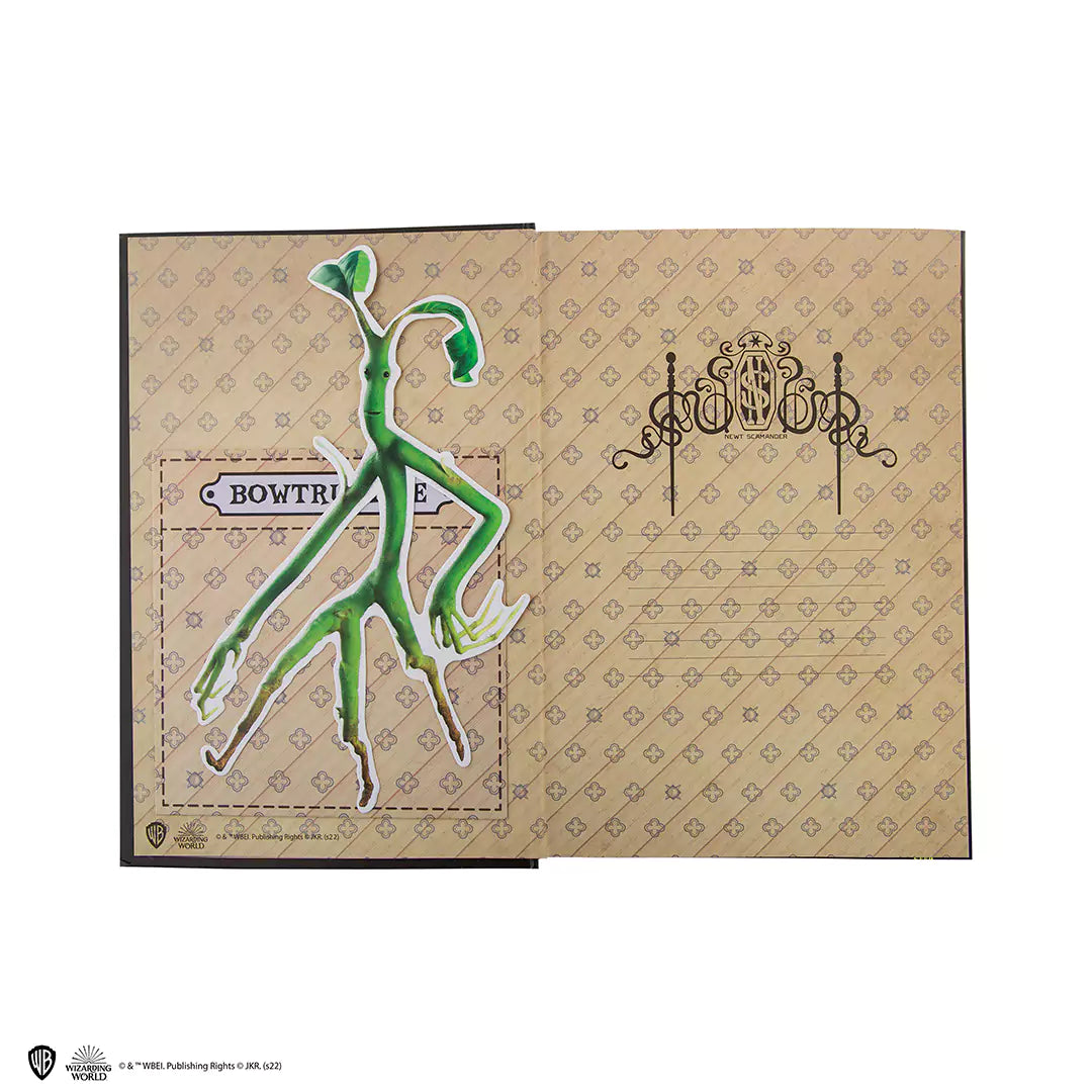 Hard cover notebook and bookmark - Newt Scamander