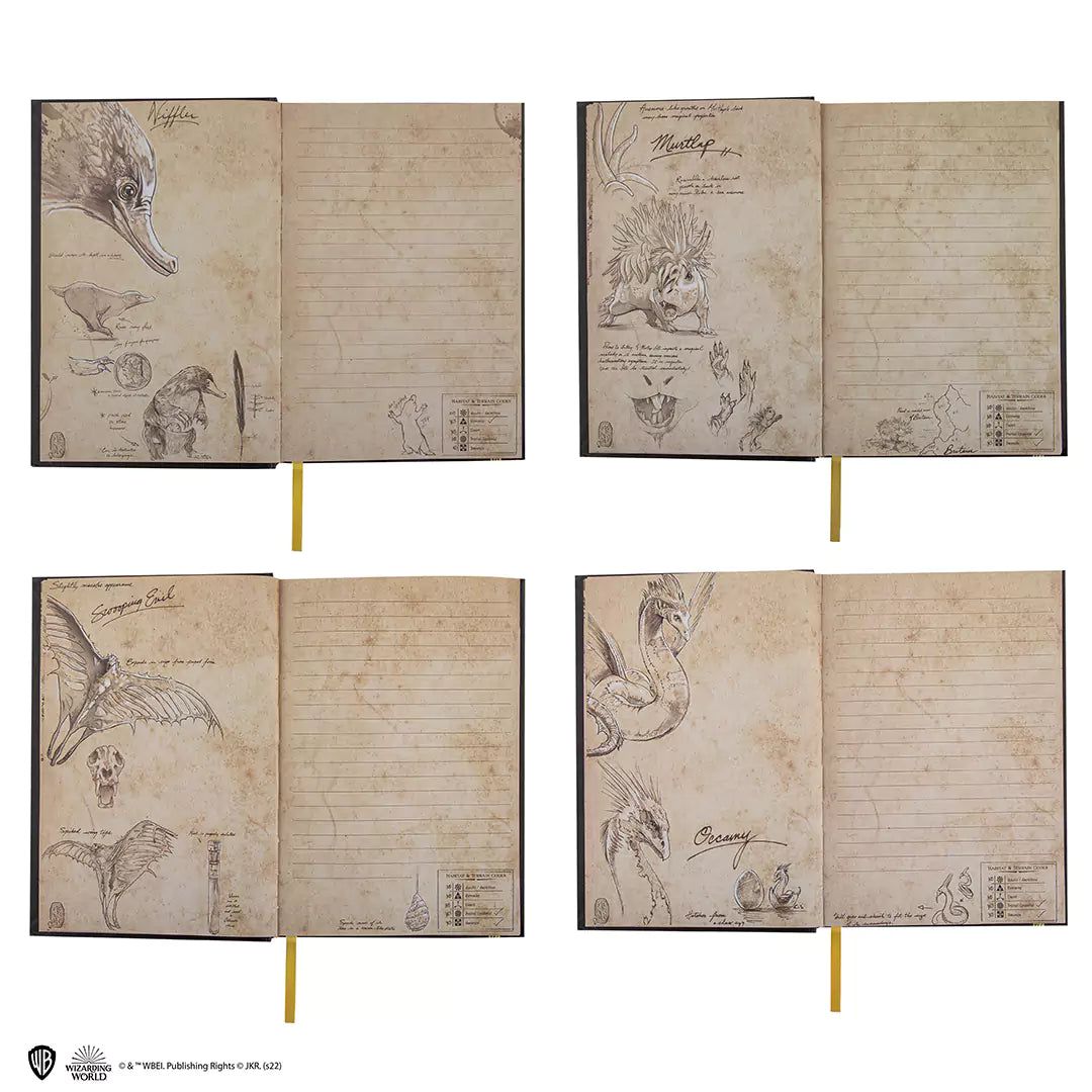 Hard cover notebook and bookmark - Newt Scamander