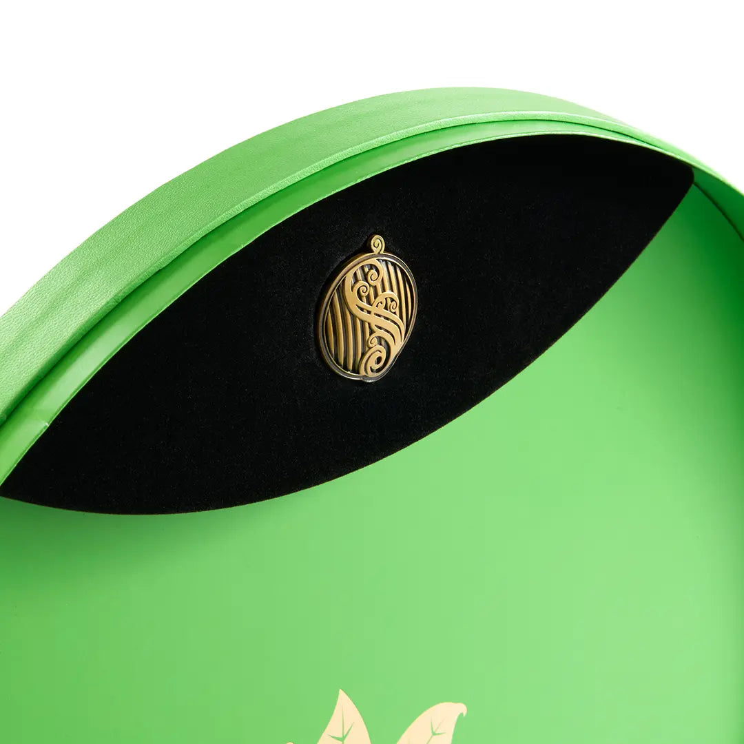 Elphaba’s Hat - Collector’s Box - Wicked