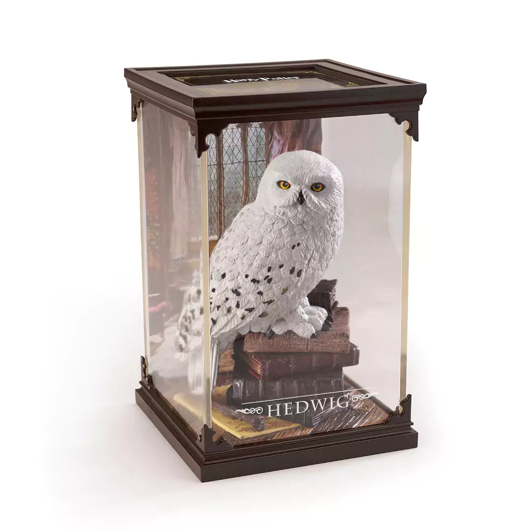 Magical creature - Hedwig