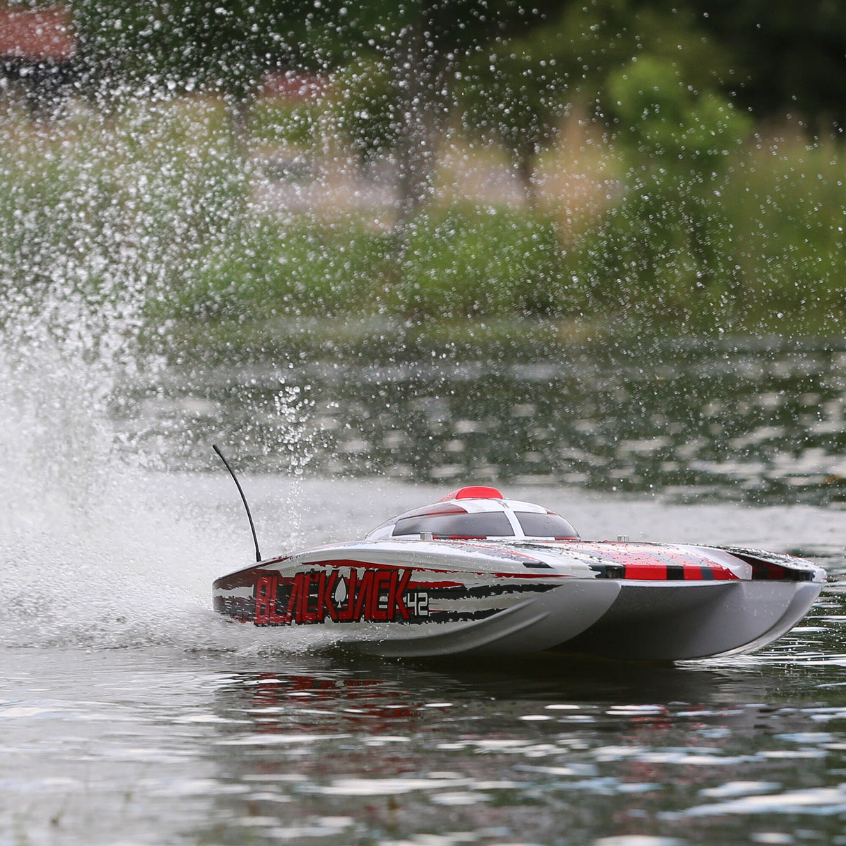 Blackjack 42-inch Brushless 8S Cat,WHT/RED:RTR