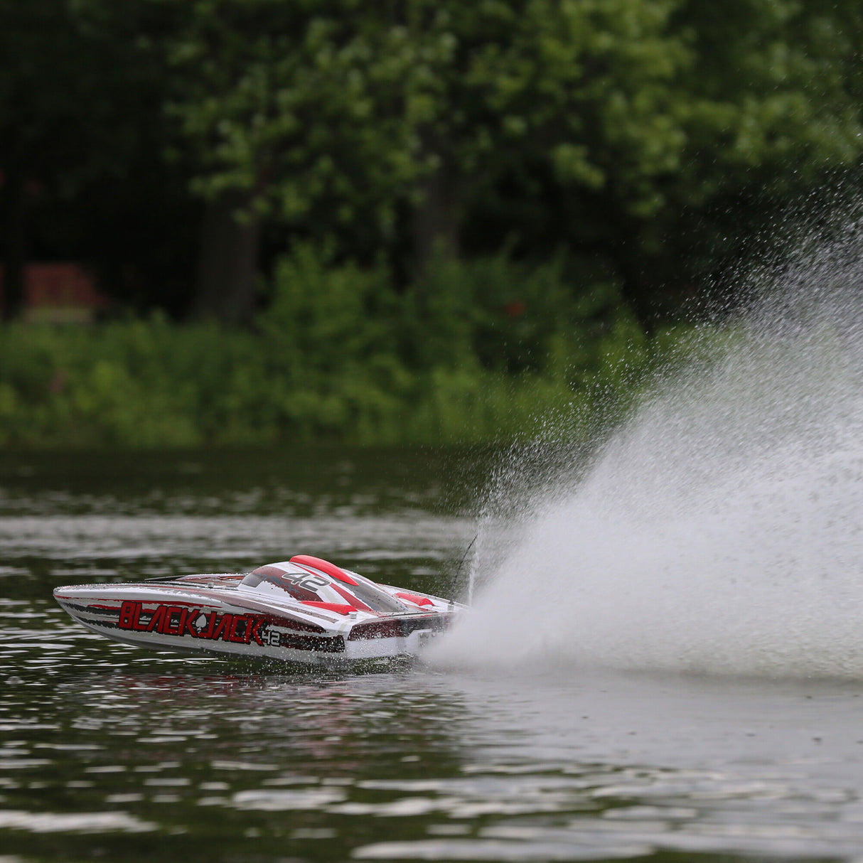 Blackjack 42-inch Brushless 8S Cat,WHT/RED:RTR