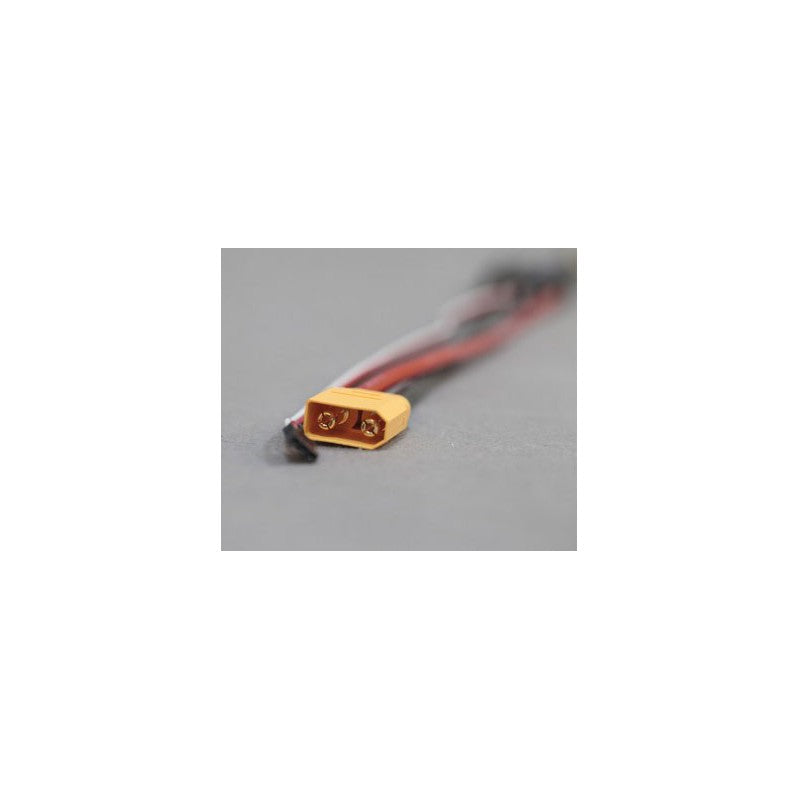 100A ESC (Hobbywing)
