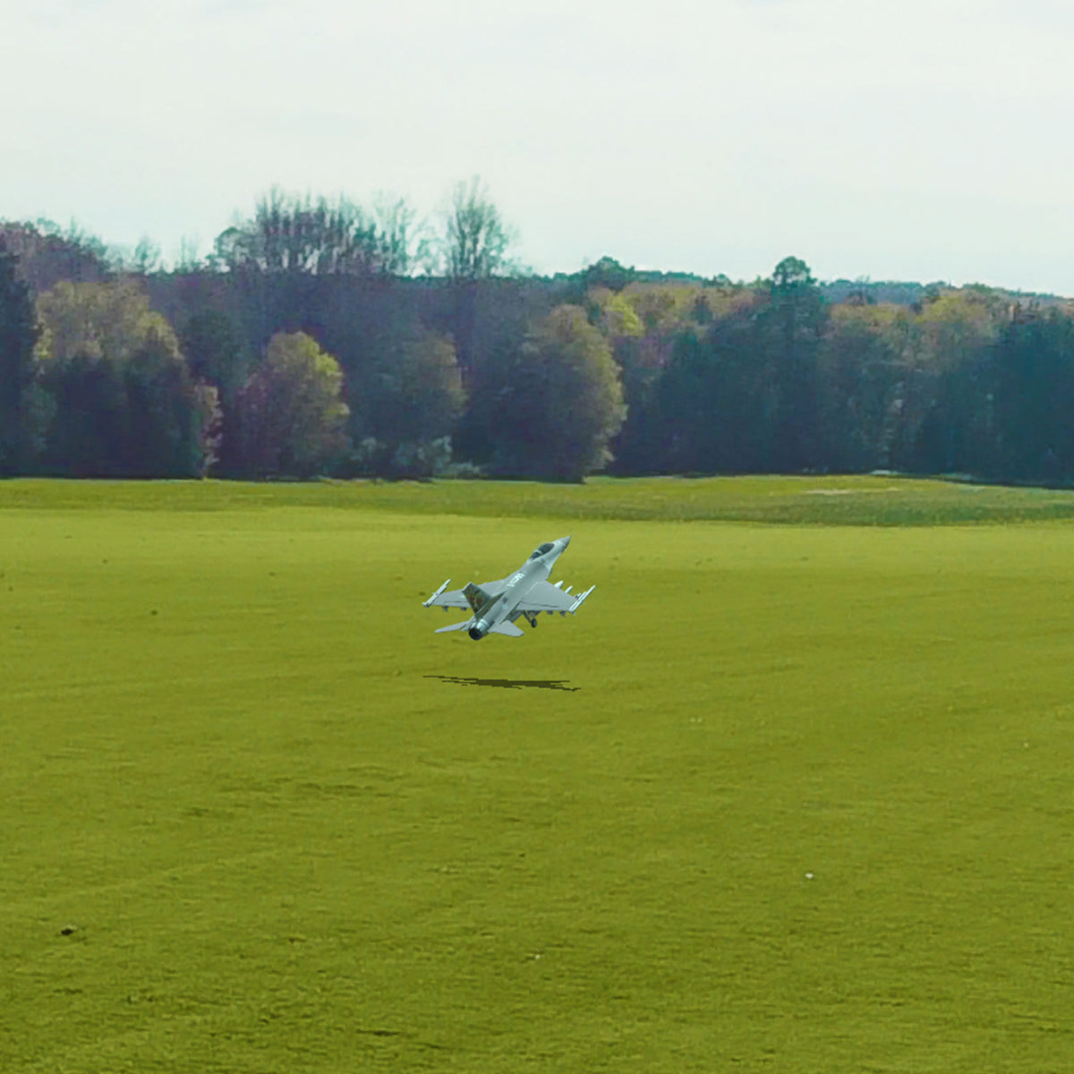 RealFlight Evolution RC Flight Sim Software Only