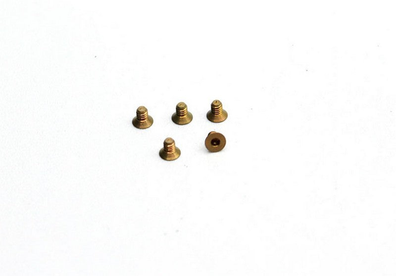 Reflex Racing RX28A-71 - Titanium M2x3 CS Screws (5pcs)