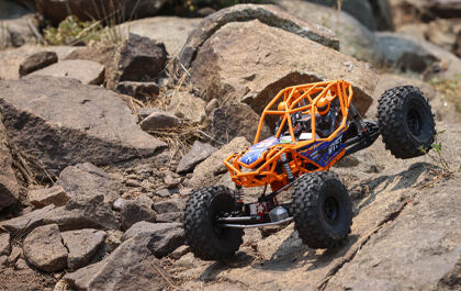 Firma 2 in 1 Brushless Crawler Motor/ESC: 1400Kv