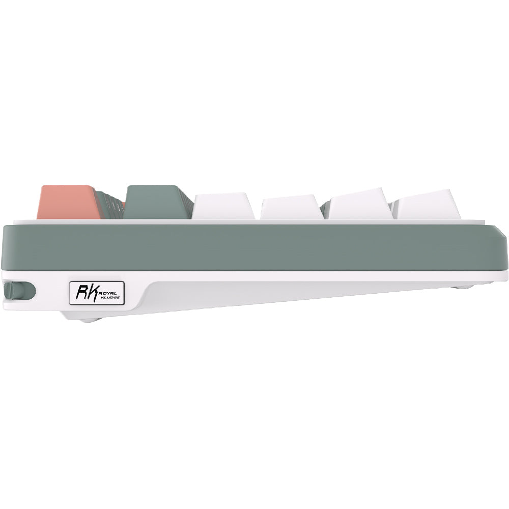 Royal Kludge S98 TFT Linear 98K Camping - RGB ANSI (ENG) wireless