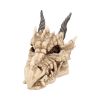 Fantasy Gothic Dragon Skull Trinket Box