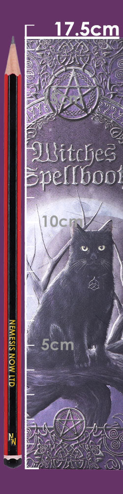 Embossed Black Cat Witches Spell Book A5 Journal with Pen