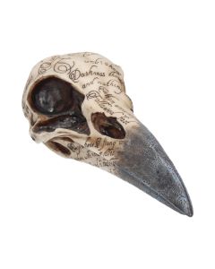 Edgar Allen Poe Nevermore Raven Goblet