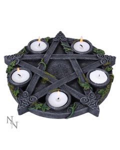 Ivy Covered Wiccan Pentagram Tarot Trinket Box