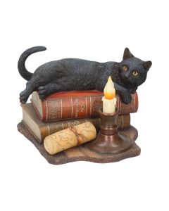 Lisa Parker Witching Hour Cat Snowglobe