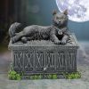 Fortune's Watcher Cat Familiar Tarot Box
