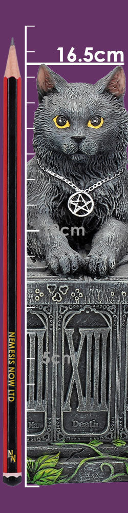 Fortune's Watcher Cat Familiar Tarot Box