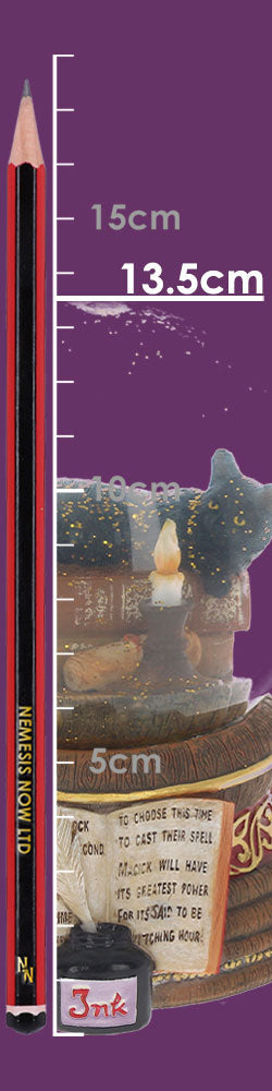 Lisa Parker Witching Hour Cat Snowglobe